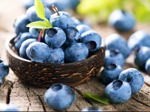 4 loại quả được Đại học Harvard ca ngợi là “tốt nhất thế giới”, ở chợ Việt bán rất nhiều