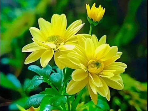 Ở đời, càng bớt bận tâm, bạn càng nhận được nhiều phúc khí