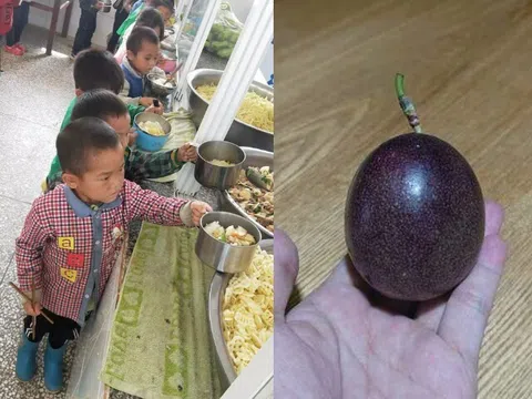 Con luôn miệng khen cơm trưa ở trường ngon, mẹ vô tình kiểm tra cặp sách thấy thứ đồ bé mang về, lập tức kiện hiệu trưởng