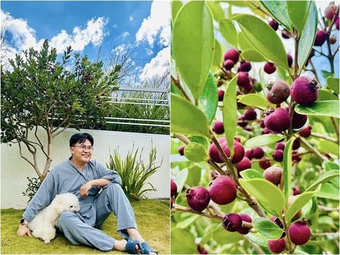 "MC giàu nhất Việt Nam" khoe đặc sản Đà Lạt trong cơ ngơi mới: Quả mọc từng chùm lạ mắt, sum suê trĩu cành