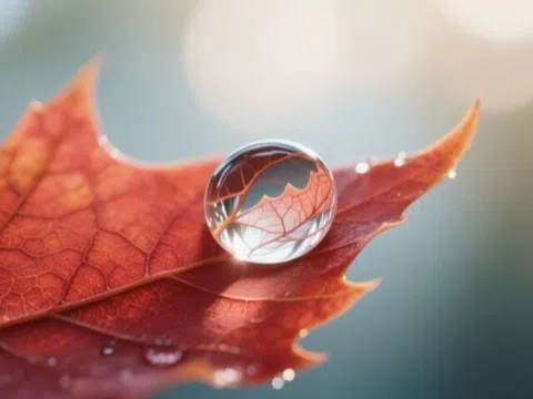 Người có 3 dấu vết này trên khuôn mặt: Tâm địa khó lường, tuyệt đối không nên thâm giao