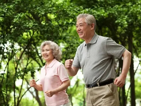 Người già thông minh không bao giờ sống dựa vào con cái mà làm thế này, nghỉ hưu vừa an nhàn, con cái lại tôn trọng