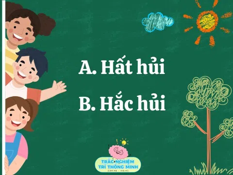 Cặp từ tiếng Việt đến học sinh giỏi cũng làm sai: Hất hủi hay hắc hủi đúng chính tả?