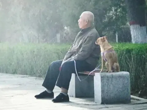 Về hưu, người nhiều tiền sống không sướng bằng người lương hưu thấp nhưng biết "kín miệng" trong những việc này