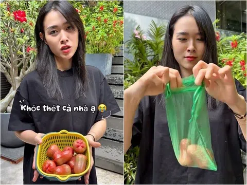 Diệp Bảo Ngọc "đau lòng" vì cứ sáng ra mận rụng hàng rổ dù chưa chín, cầu cứu bí quyết từ cư dân mạng
