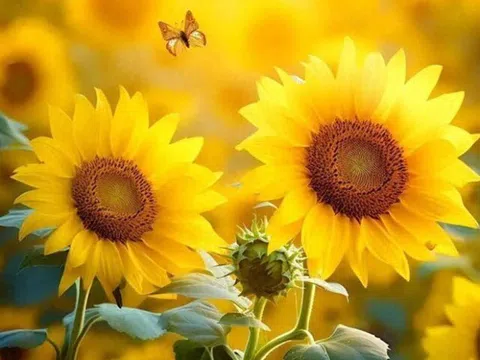 Sức hút thực sự của phụ nữ không nằm ở nhan sắc mà là 3 đặc điểm này