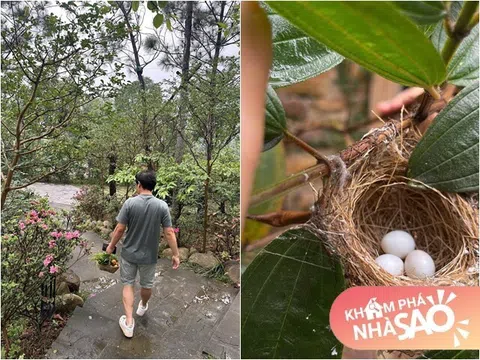 Nhà vườn của "Vua nhạc đỏ" ở Thanh Hóa đúng kiểu đất lành chim làm tổ, dân mạng tấm tắc khen "quá tuyệt vời"