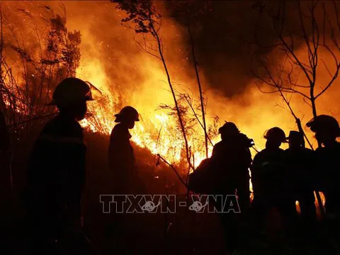 1.000 người "gồng mình" dập đám cháy rừng tại huyện Tam Đường - Lai Châu