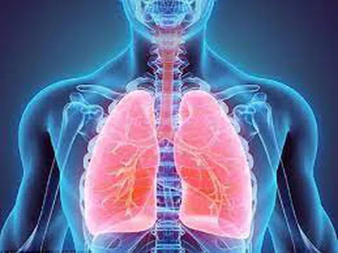 Nguy cơ tổn thương phổi từ những vật dụng trong căn nhà của bạn