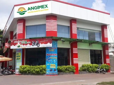 Angimex đã khắc phục xong vi phạm trước ngày cổ phiếu bị đình chỉ