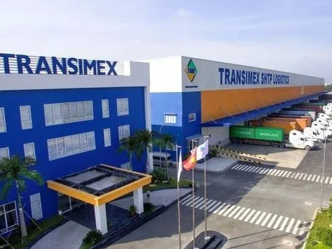 "Ông lớn" vận tải Transimex phát hành hơn 36 triệu cổ phiếu trả cổ tức