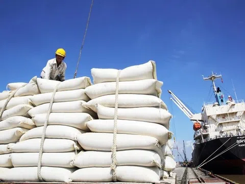Lương thực Bình Định xin dừng trả cổ tức tỉ lệ 140%