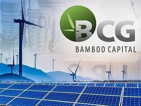 Liên tục tăng vốn nóng, đầu tư lĩnh vực hot, lợi nhuận hệ sinh thái Bamboo Capital vẫn âm sâu
