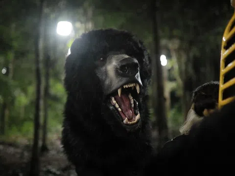 “Gấu Mật” trong phim điện ảnh sinh tồn quái thú của Việt Nam: Cuộc đánh đổi đắt đỏ tiêu tốn 250 triệu