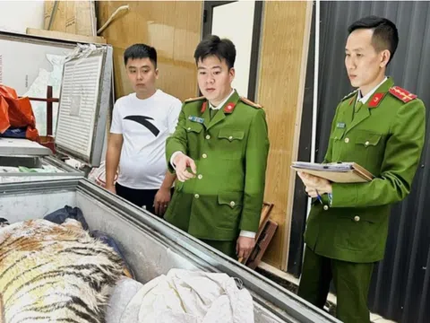 Chi gần 2 tỷ đồng mua hổ quý hiếm qua Zalo về nấu cao, 2 người đàn ông bị bắt