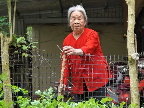 Sống hơn một thế kỷ vẫn minh mẫn: Thói quen giản dị của hai cụ già khiến nhiều người bất ngờ