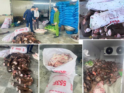 Rùng mình cảnh xương, đuôi trâu bò không rõ nguồn gốc chất đầy kho lạnh ở Thanh Hóa