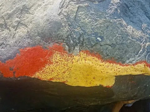 Tảng đá giữa sông ở Đà Nẵng bất ngờ “nở hoa” đỏ rực, chính quyền lên tiếng