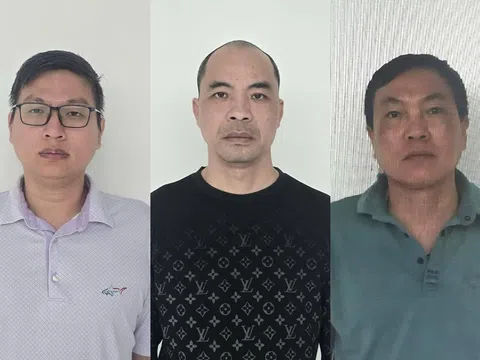 3 giám đốc công ty cùng vướng vòng lao lý, vì sao?