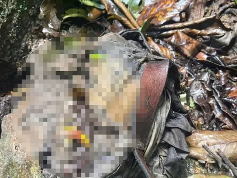 Bí ẩn bộ xương người trong rừng Quảng Ngãi: Nạn nhân có thể đã chết 4–5 tháng