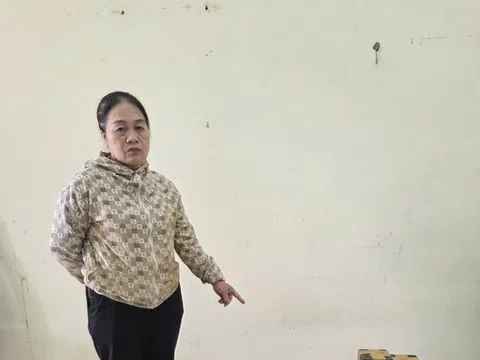 Bắt khẩn cấp nữ bảo vệ Trần Thị Tình SN 1970