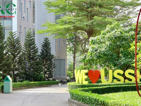 Toàn cảnh kế hoạch sáp nhập trường học ở TP.HCM, chi tiết ra sao?