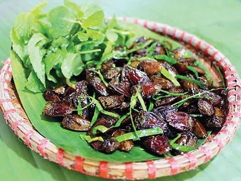 Nghe mùi thôi cũng đủ khiếp sợ, nhưng người Tây Bắc lại xem món này là tinh hoa