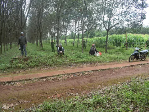 Thi thể người phụ nữ dưới gốc cao su và hành trình 13 năm truy tìm kẻ thủ ác