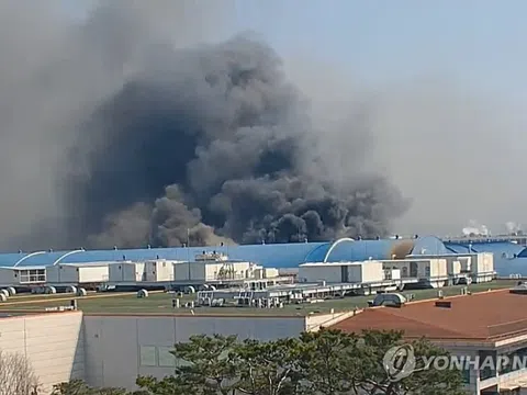 Cháy lớn tại Daejeon: 50 người bị thương, nhiều người mắc kẹt, lực lượng cứu hỏa toàn quốc được huy động