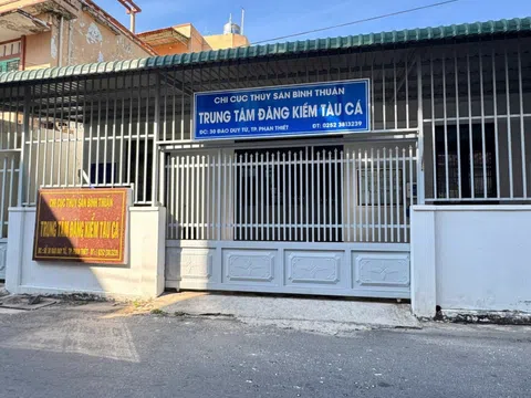 Bắt giám đốc Trần Nguyên Vũ cùng 2 đồng phạm, nguyên nhân vì sao?