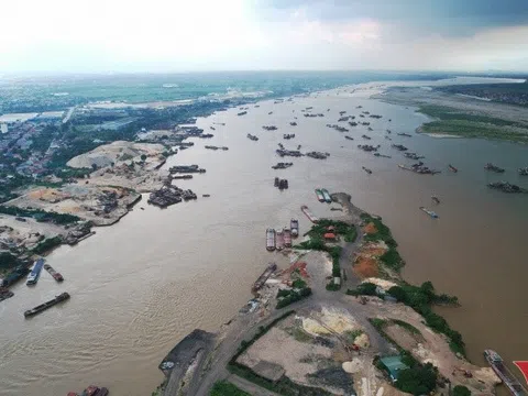 Loài cá từng dâng vua nay hiếm có khó tìm, nhìn giá bán khiến nhiều người choáng