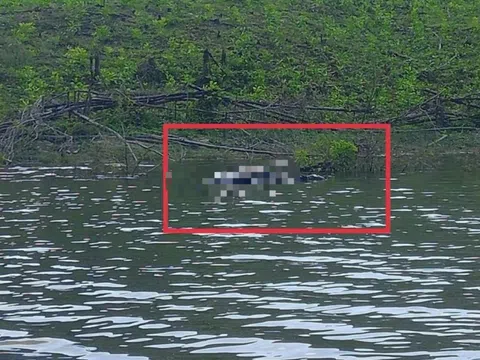 Thi thể bí ẩn nổi giữa hồ Đá Trải, Công an Gia Lai phong tỏa hiện trường điều tra