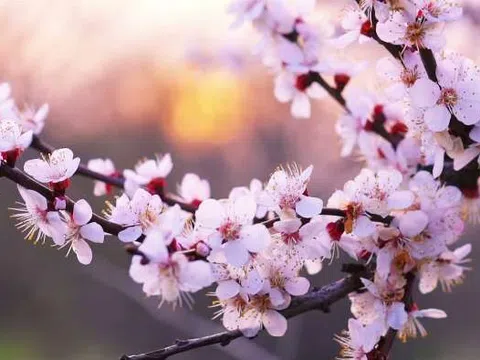 Đời này có một thứ bạn nhất định phải đầu tư: Nếu không có nó, tất cả chỉ còn là di sản