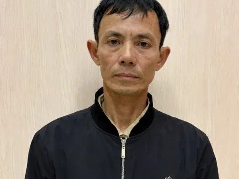 Giăng điện bẫy chuột, người đàn ông lĩnh hậu quả không ngờ