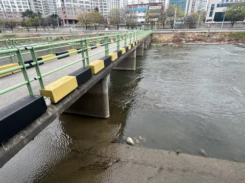 Phát hiện thi thể phụ nữ 50 tuổi bị nhét trong vali:  Bắt giữ con gái và con rể nạn nhân