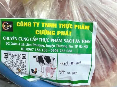 Trường tiêu thụ thịt lợn của Công ty Cường Phát: Học sinh tiểu học Hà Nội từng đau bụng, nôn mửa