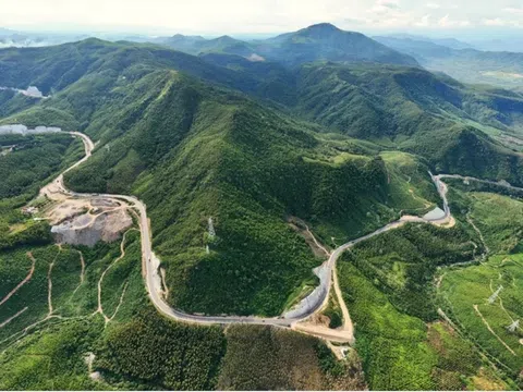 Sinh vật mới được phát hiện giữa dãy Trường Sơn, chưa từng thấy trên thế giới