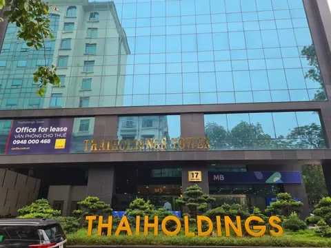 Mát tay đầu tư cổ phiếu, Thaiholdings của bầu Thụy lãi hơn trăm tỷ đồng