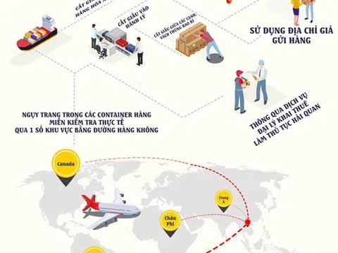 Cục Điều tra chống buôn lậu: Phương thức cất giấu ma túy ngày càng tinh tinh vi