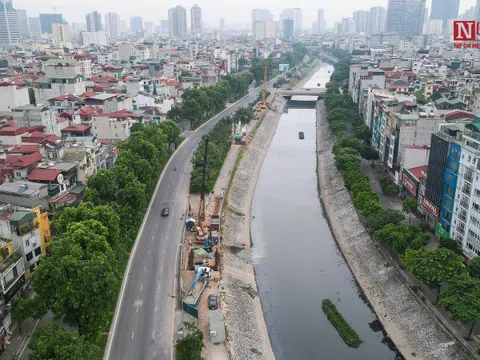 Hà Nội: Di chuyển hơn 700 cây xanh để xây dựng cống thu gom nước thải
