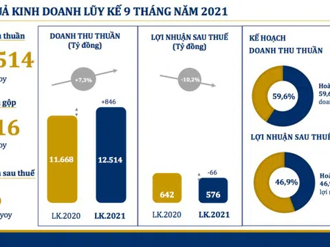 Mỗi ngày PNJ lỗ gần 2 tỷ đồng