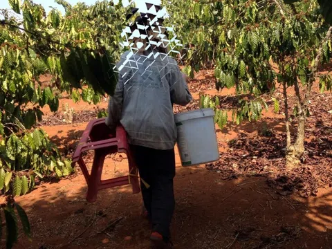 Khánh kiệt vì hai con trai vướng vào “tín dụng đen”