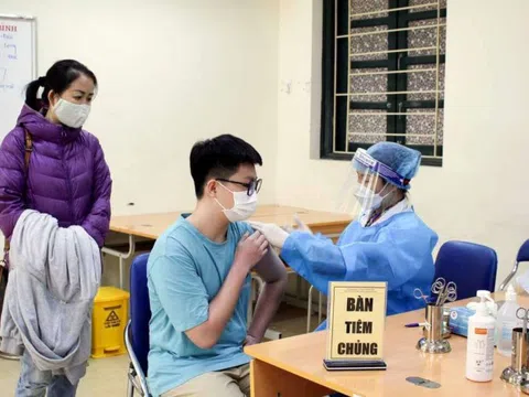 Hà Nội tạm ngừng tiêm cho học sinh cấp 2, chờ chỉ đạo của bộ Y tế về 2 lô vaccine Pfizer gia hạn