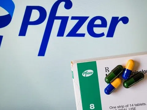 Thuốc uống trị COVID-19 của Pfizer đạt hiệu quả 90%