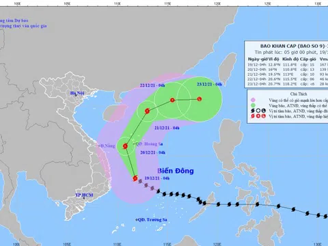 Tin bão số 9: Khu vực từ Thừa Thiên-Huế đến Khánh Hòa có mưa to