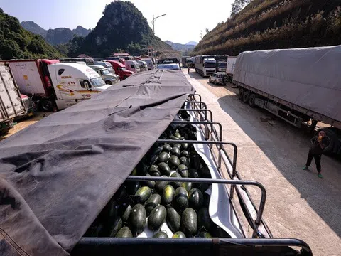 Hàng nghìn xe container ùn tắc, Lạng Sơn đề nghị tạm dừng đưa nông sản lên cửa khẩu