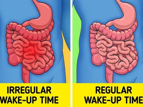 Điều gì xảy ra với cơ thể nếu bạn thức dậy đúng giờ mỗi ngày?