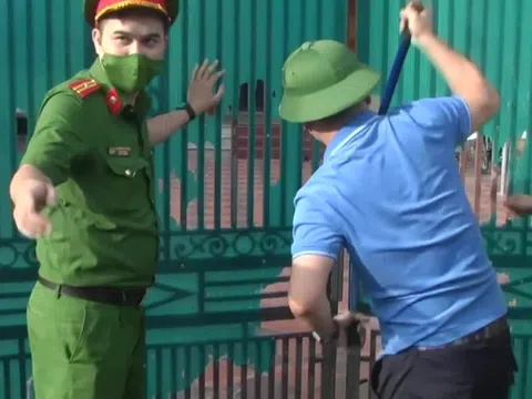 Chuyện chưa kể về vụ giải cứu 17 con hổ bị người dân nuôi nhốt