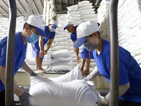 Xuất khẩu gạo tăng mạnh tháng đầu năm 2022: Dự báo lạc quan