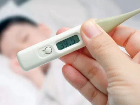 6 ca tử vong do sốt xuất huyết, Bộ Y tế dự báo dịch có thể gia tăng